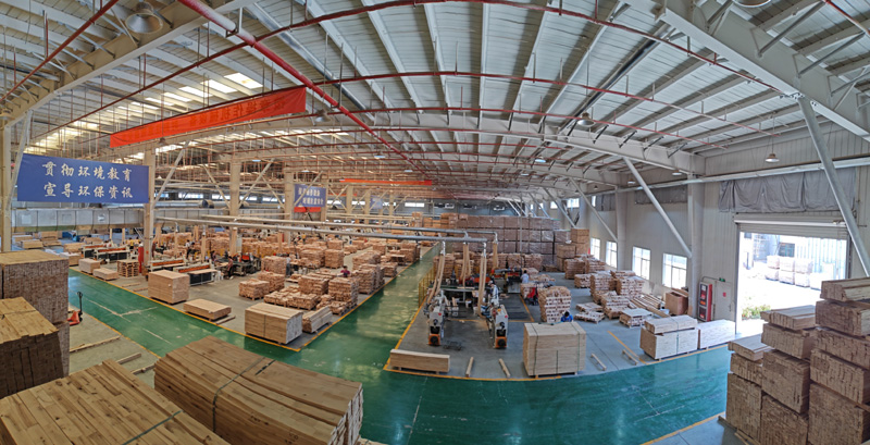 ���չ���