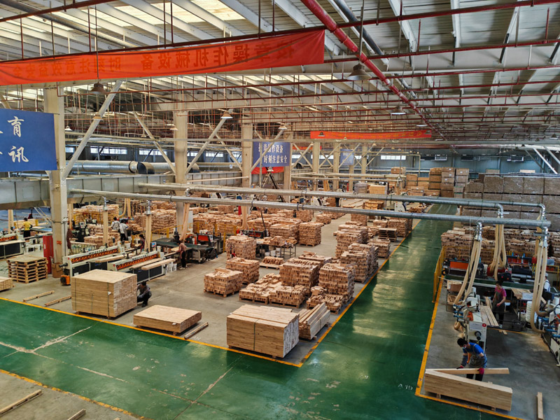 ���չ���