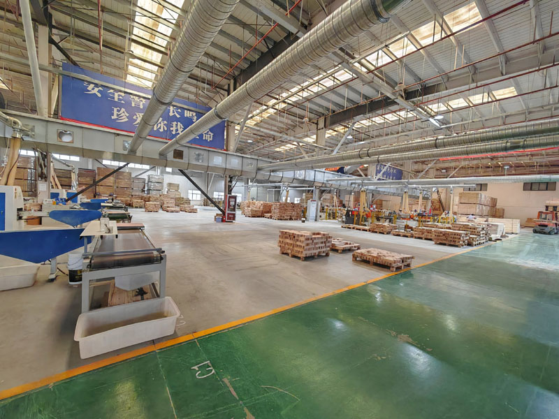 ���չ���